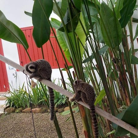 Quinta Brasilis Boutique Hotel Araquari Kültér fotó